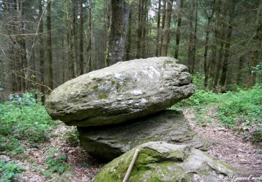 Tour Wandern Combronde - La pierre branlante par Les Jouffrets. - Photo
