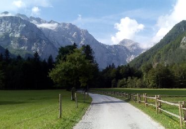 Trail Walking Solčava - Slovenië einde, pension ojstria - Photo