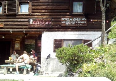 Excursión Otra actividad Solčava - Slovenië hut 2 - Photo