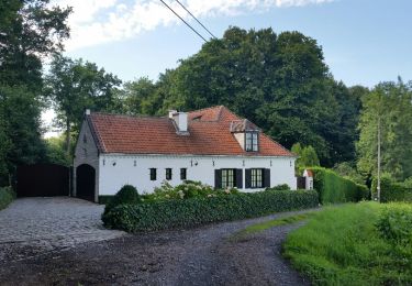 Tocht Mountainbike Ronse - Louise-Marie - Renaix - Photo