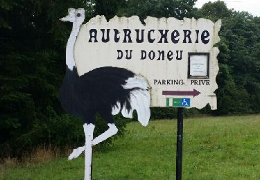 Tour Wandern Rochefort - BUISSONVILLE - Photo