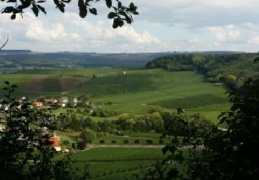 Tocht Stappen Schengen - wellenstein tour 2 - Photo