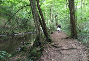 Trail Walking Chantelle - les gorges de la Bouble  - Photo