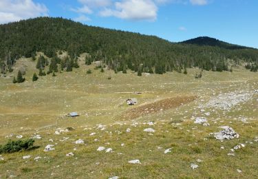 Tocht Stappen Gresse-en-Vercors - retour rando jasse du play corrençon(non complete car plus de batterie) - Photo