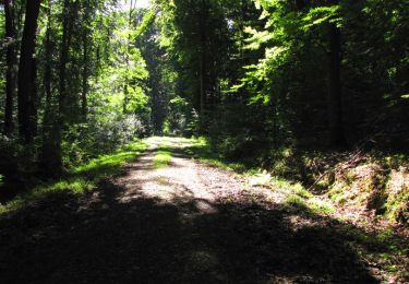 Tocht Stappen Longpont - en forêt de Retz_39_Longpont_Villers-Cotterets_AR - Photo
