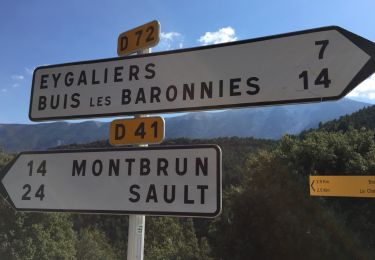 Trail Cycle Buis-les-Baronnies - Col de Fontaube - Photo