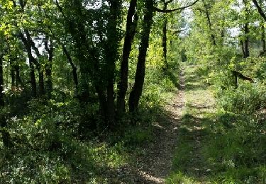 Trail Walking Saint-Géry-Vers - QUERCY Vers) - Photo