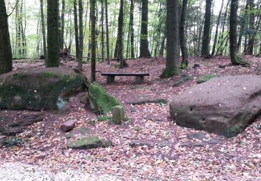 Trail Walking Meisenthal - maizenthal - soucht et environs - Photo