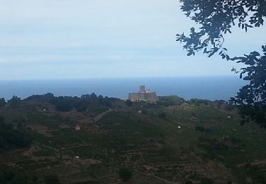 Tour Wandern Collioure - Batteries_StElme_Mollo_T - Photo