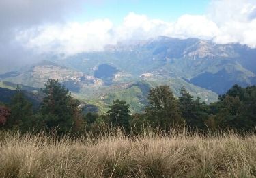 Trail Walking Bajardo - Monte Ceppo et Crocs Di Presto - Photo