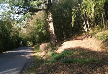 Trail Walking Yvoir - bauche ivoy crupet - Photo