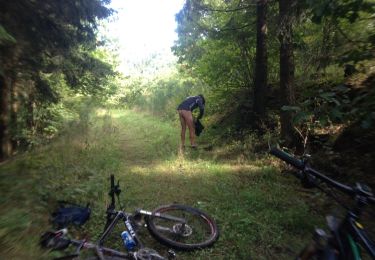 Trail Mountain bike Burg-Reuland - 20150920 Ouren Ettelbrück - Photo