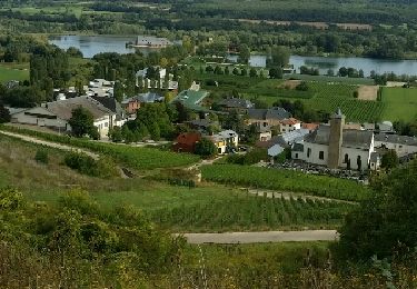 Tocht Stappen Schengen - wintrange - Photo