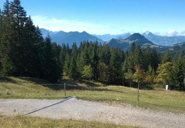 Trail Walking La Roche - La Holena (La Roche) - sommet de la Berra 21.09.15 - Photo