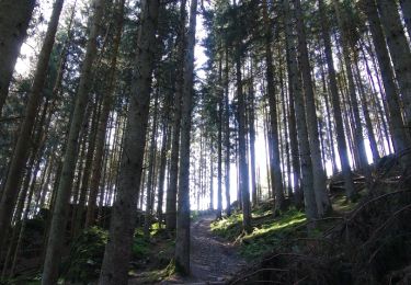 Tour Wandern Hohenfels - Balade à Achouffe - La Vallées des Fées - Photo