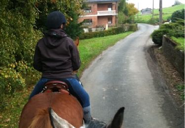 Randonnée Cheval Walcourt - 2010-10-28 - 15h18m53 - Photo