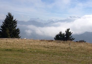 Tour Wandern Habère-Lullin - Crêts des Brottets et d'Hirmentaz - Photo