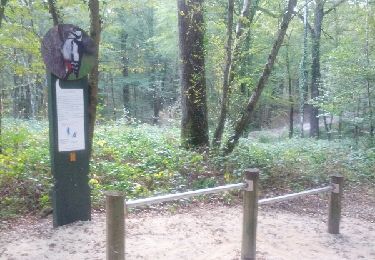 Trail Walking Dole - Sentier des chênes rouges - Photo