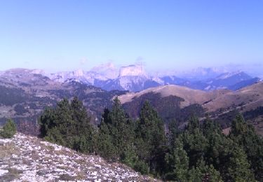 Randonnée Marche Châtillon-en-Diois - combau-Baupuy - Photo