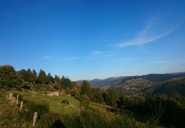 Randonnée Marche La Bresse - De L'auberge des Alisiers à la Piquante Pierre  - Photo