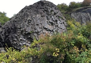 Tour Wandern Alba-la-Romaine - Neck de Sceautre - Photo