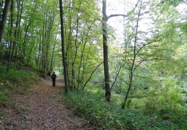 Trail Walking Cerfontaine - Balade au village de la source de l'eau d'Heure Cerfontaine - Photo