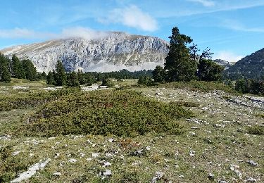 Tocht Stappen Saint-Agnan-en-Vercors - Vercors j4 - Photo