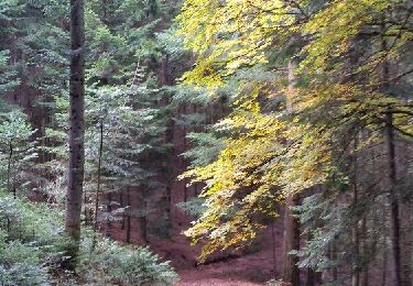 Tour Wandern Planfoy - parc du pilatm - Photo