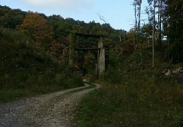 Tocht Stappen Bettendorf - bettendorf - Photo