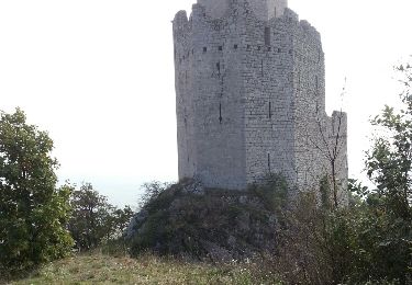 Tour Mountainbike Schlettstadt - Ungersberg par GR5 - Photo