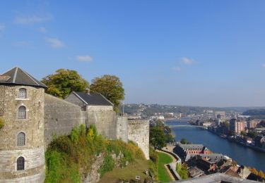Tocht Stappen Namen - Balade à Namur - De La Plante à la Citadelle - Photo