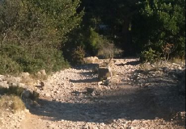 Trail Walking Cassis - boucle calanques de Cassis - Photo