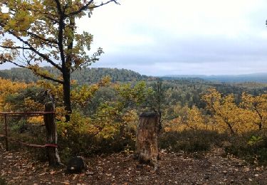 Tour Nordic Walking Haspelschiedt - haspelscheidt au rocher de roppeviller - Photo