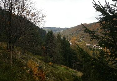 Trail Mountain bike La Bresse - face couarou - Photo