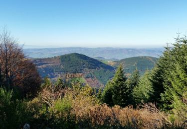 Tocht Stappen La Valla-en-Gier - le planil - la jasserie - le planil - Photo