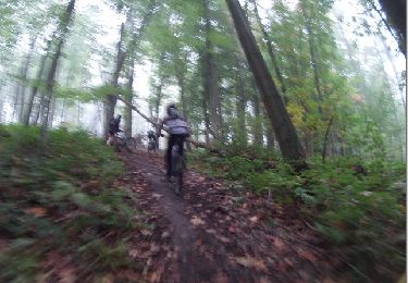Trail Mountain bike Manage - VTT à manage - Photo