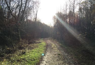 Trail Walking Kleinblittersdorf - Le long de la frontière et de la Blies - Photo