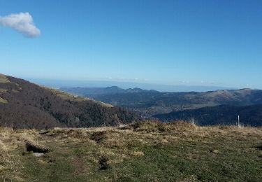 Tocht Stappen Wildenstein - Étang de Machais et Lac de Blanchemer  - Photo