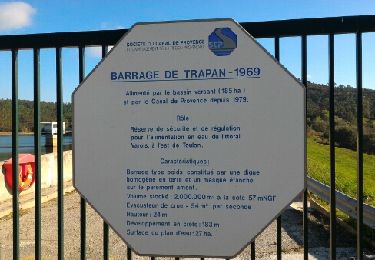 Tour Wandern La Londe-les-Maures - le trapan - Photo