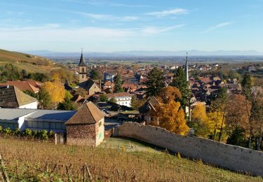 Tour Wandern Rappoltsweiler - Ribeauvillé-Thannenkirch-Ribeauvillé - Photo