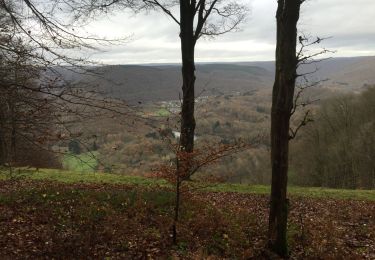 Tour Andere Aktivitäten Les Hautes-Rivières - haute RIVIERE  - Photo