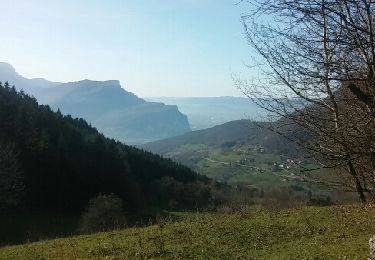 Tour Wandern La Sure en Chartreuse - Cota bois - Photo