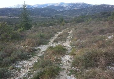 Tocht Stappen Conqueyrac - La Coste-Aguzan (Gard) - Photo