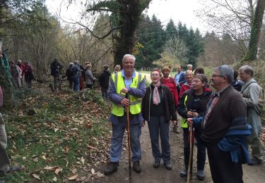 Excursión Senderismo Châteldon - petite marche 1 12 2015 - Photo