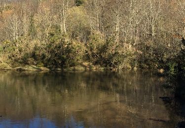 Trail Walking Urrugne - col d'ibardin lac - Photo