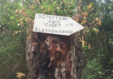 Trail Walking Cilaos - le tour de palmiste rouge - Photo