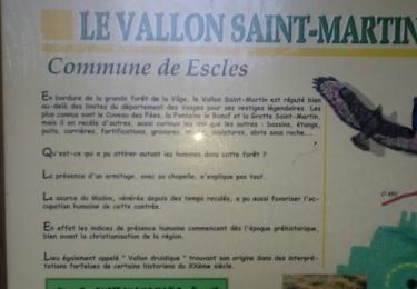 Randonnée Marche Escles - Le Vallon Saint-Martin - Photo