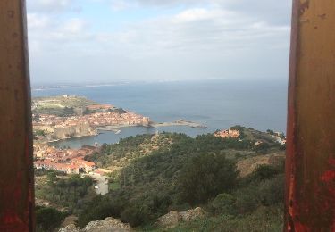 Randonnée Marche Collioure - fort  saint elme  - Photo