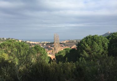 Tour Wandern Collioure - 66 COLLIOURE, promenade dans le Vignoble du petit consolation aux forts - Photo