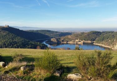 Trail Walking Saint-Étienne - Condamine - Photo